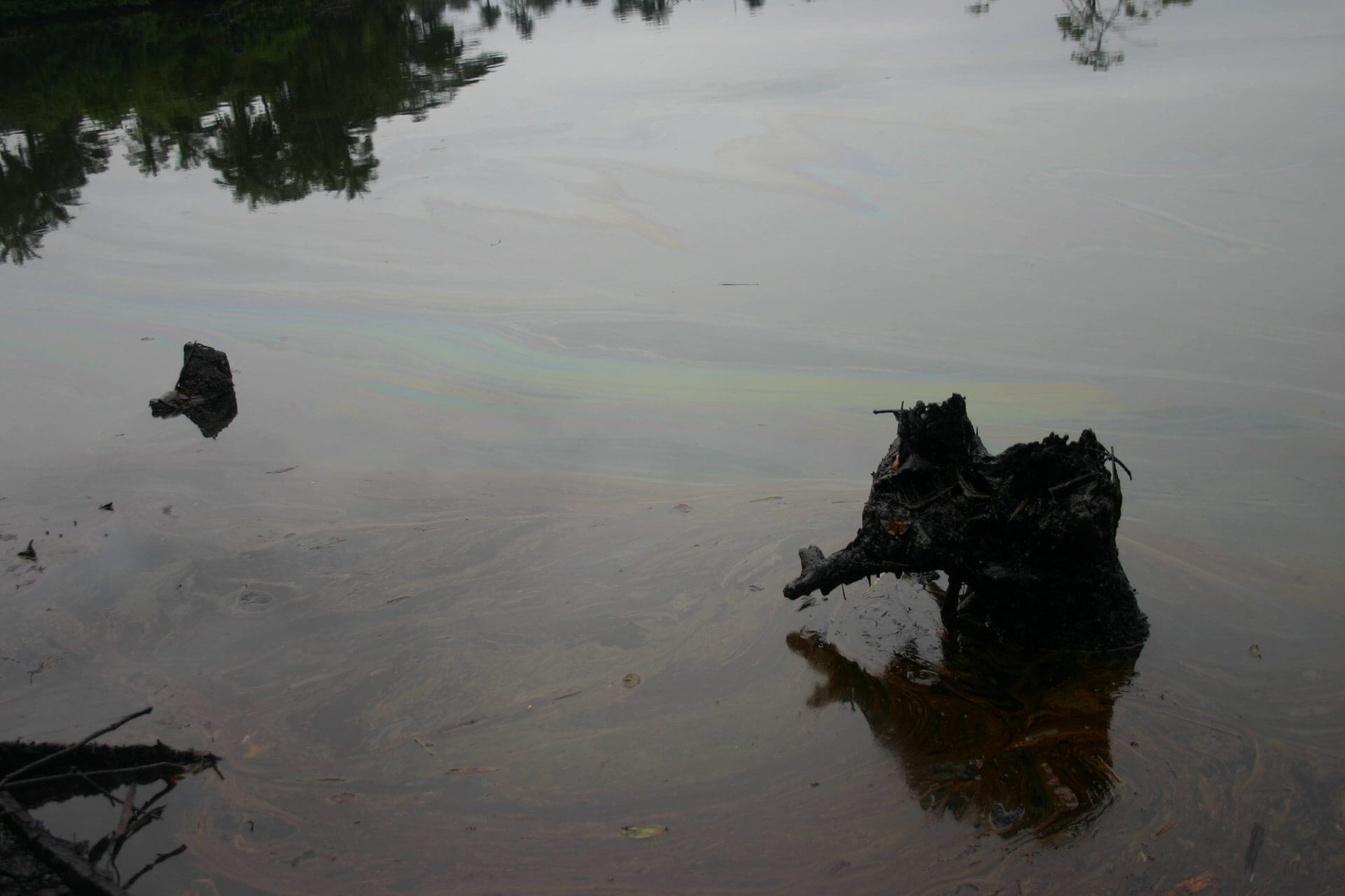 Polluted creeks in Ogoni. Photo Sarah Shoraka