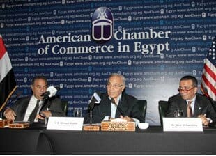 BP sponsors lobby group that welcomed executions in Egypt “to restore order” in post-election crackdown