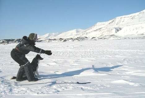 EU announces Arctic policy, but what does it mean?