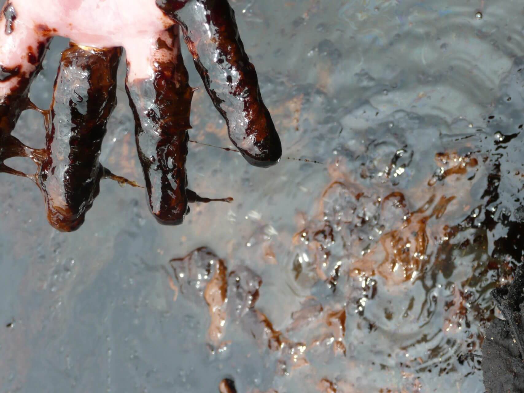 Hold Shell to account for its human rights abuses in Nigeria