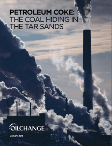 Petcoke-Report